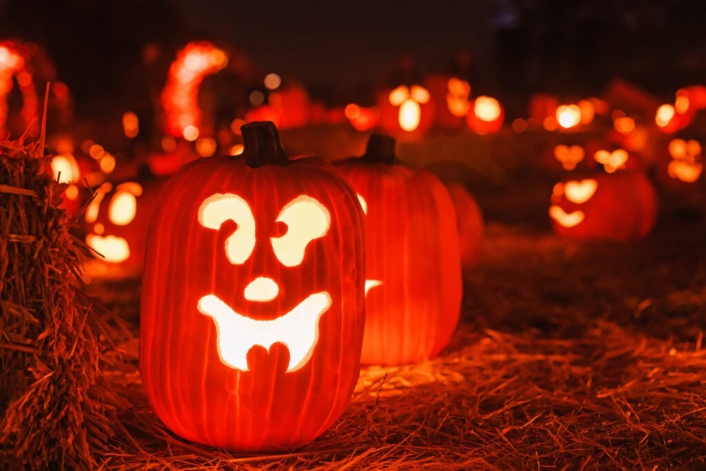 The Great Summerlin Pumpkin Patch!